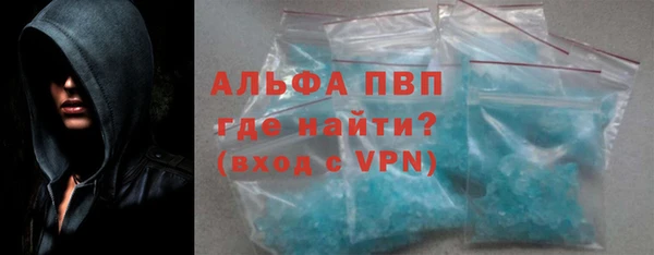 индика Абаза