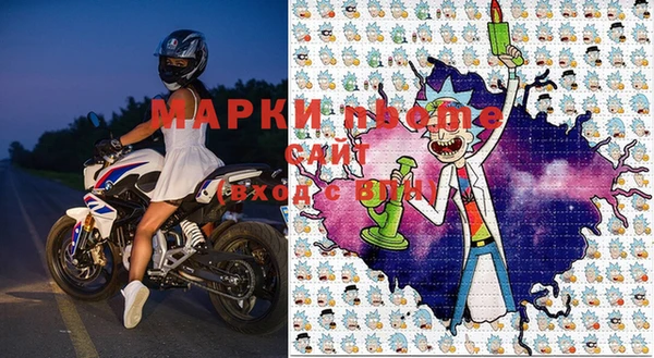 сатива Покров