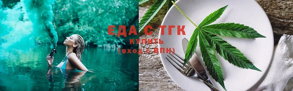 индика Абаза