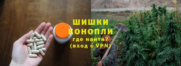 индика Абаза